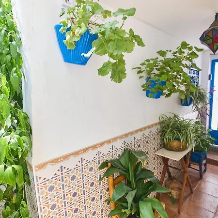 Apartment Casa El 