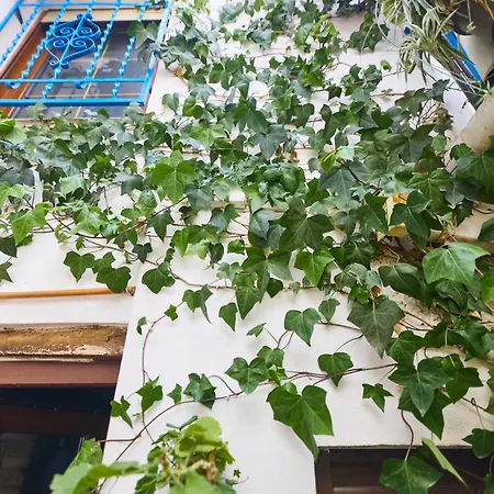 Casa El 