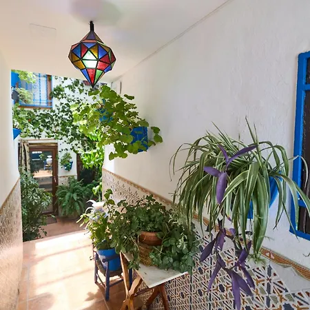 Apartment Casa El 